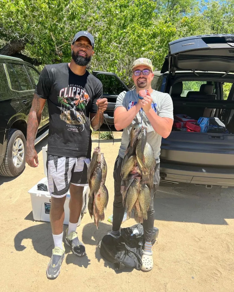 入高风险的 入高风险的