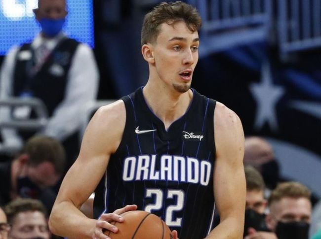 温网的草地 温网的草地